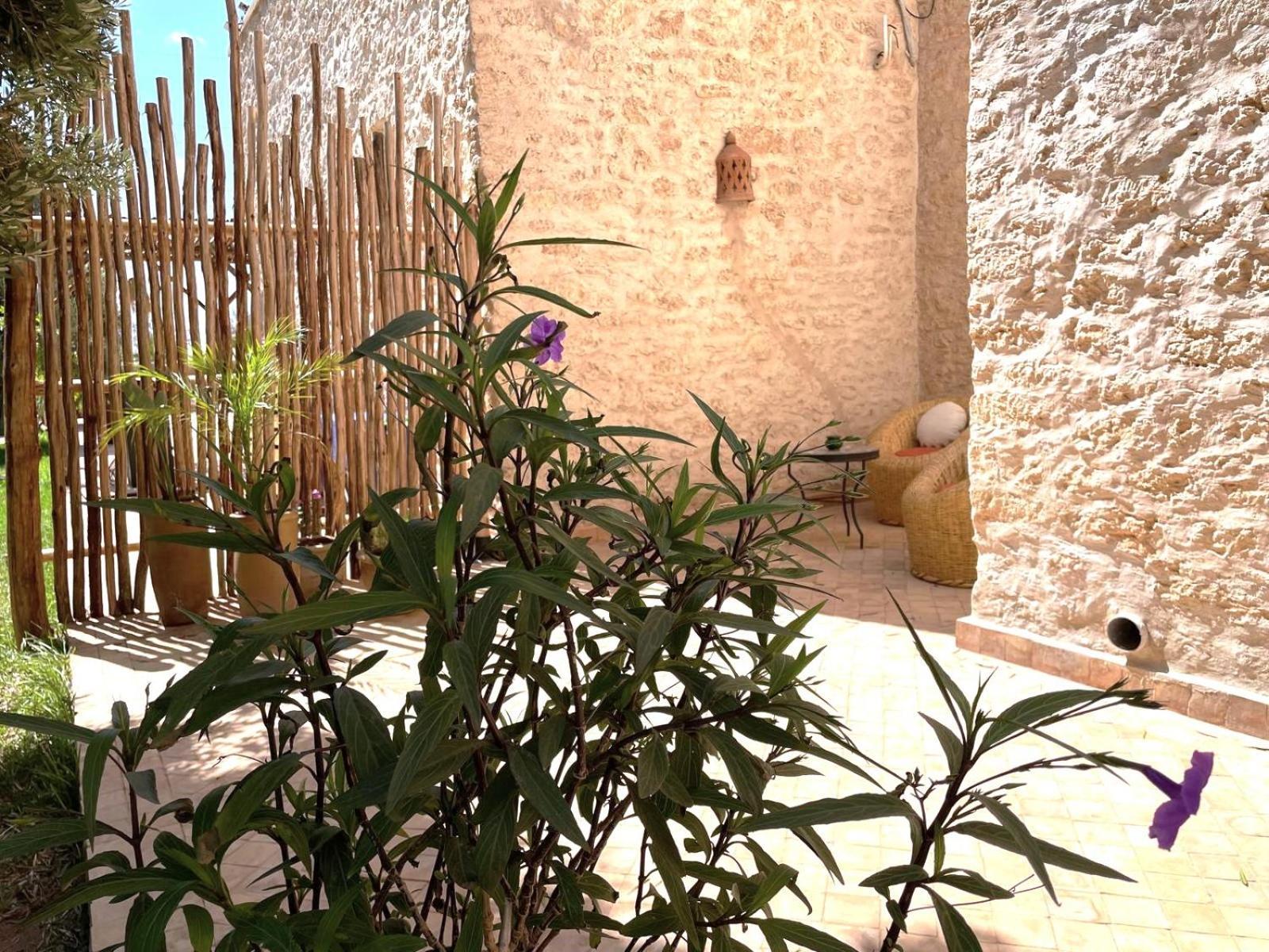 Riad Sabidi เอสเซาอิรา ภายนอก รูปภาพ